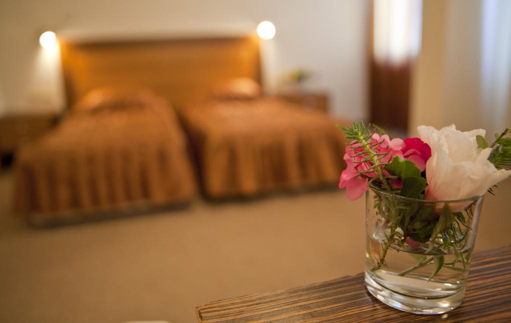 Hotel Intelcoop พลอฟดิฟ ห้อง รูปภาพ